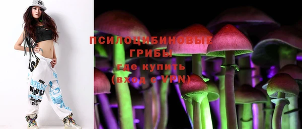 прущий лед Алзамай