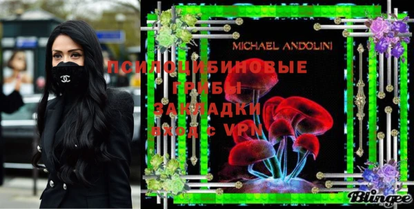 прущий лед Алзамай