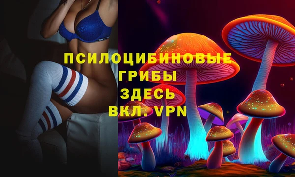 прущий лед Алзамай