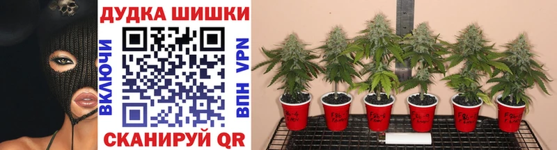 Бошки Шишки SATIVA & INDICA  дарнет шоп  Арсеньев 